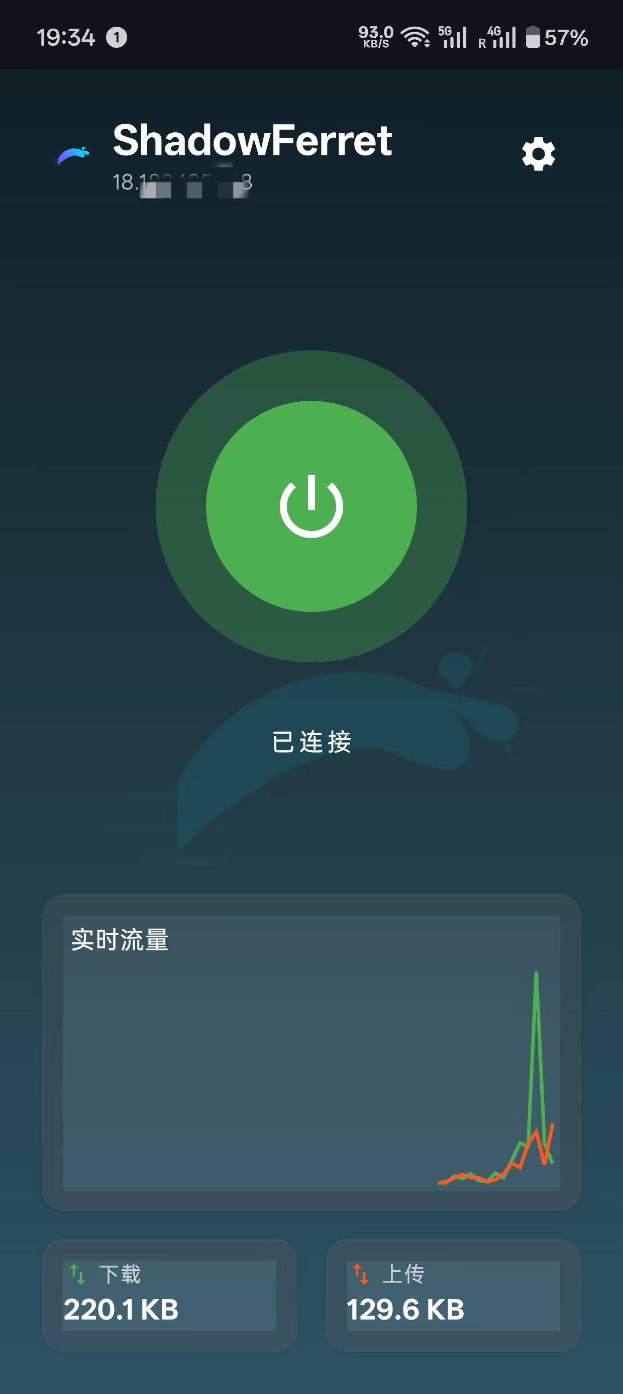 ShadowFerret 连接页面